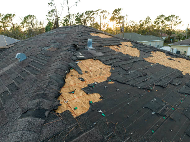 Best Roof Leak Repair  in Orient, NY